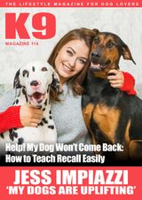 Issue 114