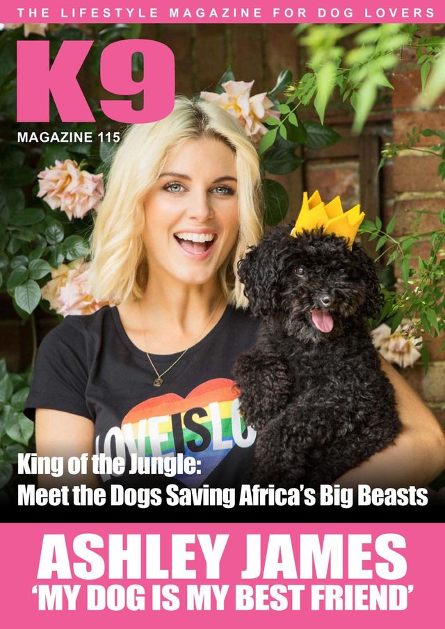 Mit Magzter GOLD unbegrenztes Potenzial nutzen