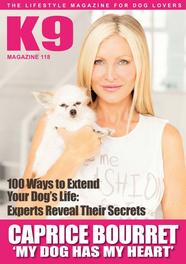 K9 Magazine