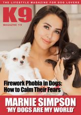 Issue 119