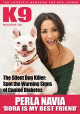 Issue 120