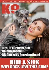 Issue 121