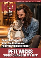 Issue 123