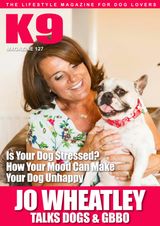 Issue 127