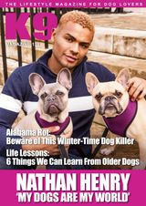 Issue 131