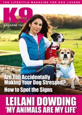 Issue 132