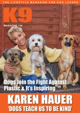 Issue 134