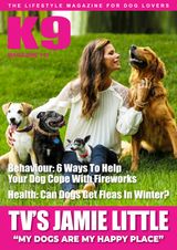 Issue 141