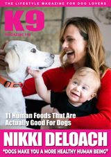 Issue 146