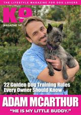 Issue 147