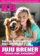 Issue 151