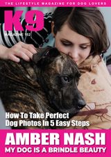 Issue 152