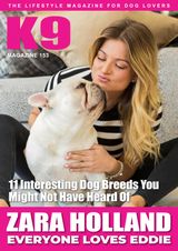 Issue 153