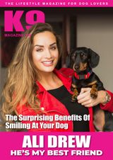 Issue 154