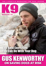Issue 156