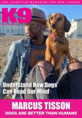 Issue 163