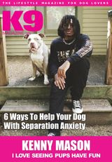 Issue 165