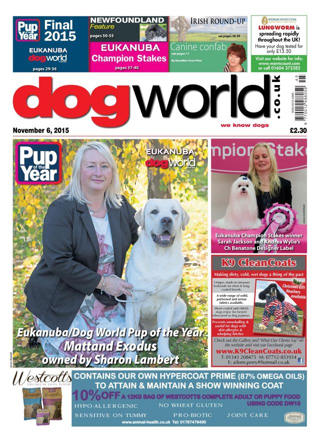 Dog World