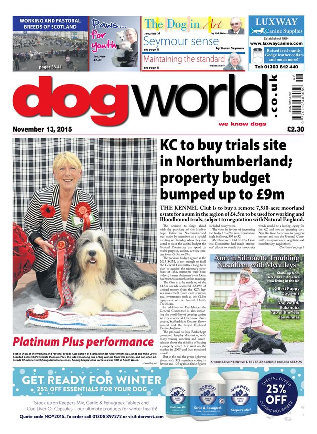 Dog World