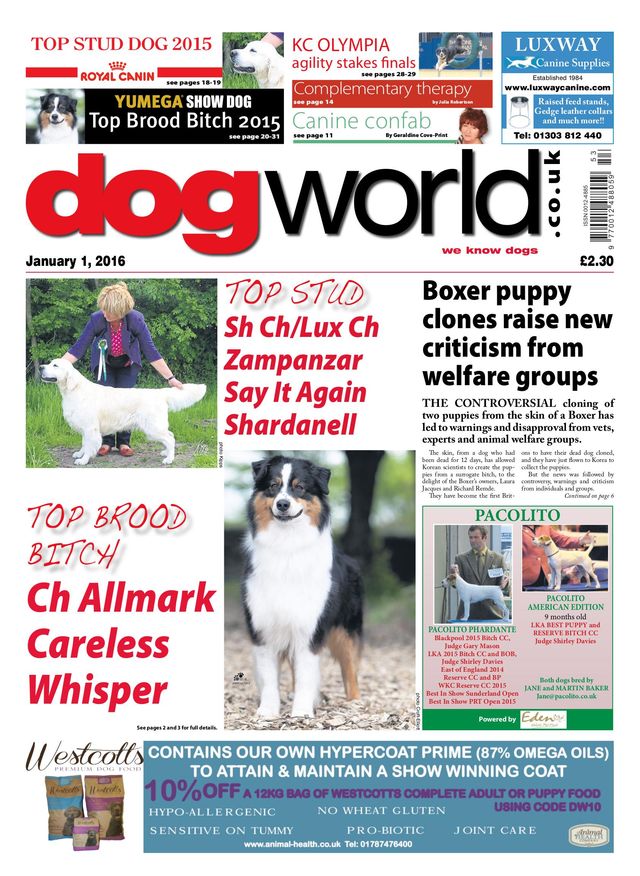 Dog World