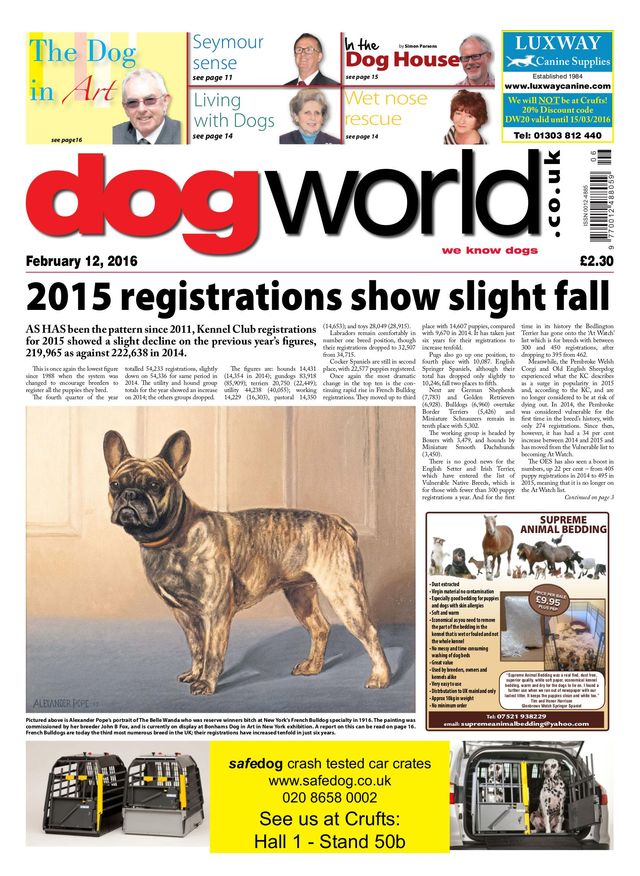 Dog World
