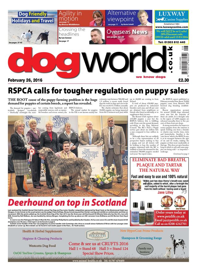 Dog World