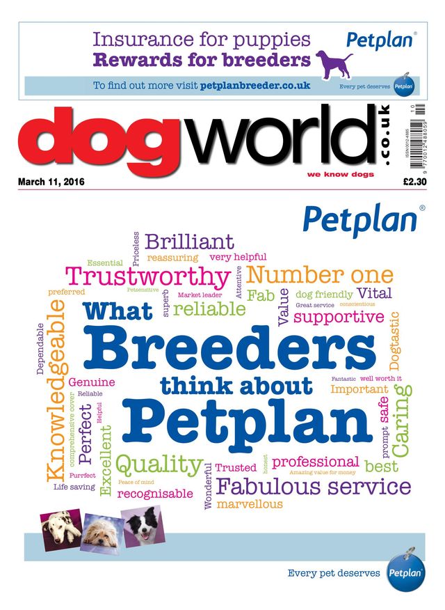 Dog World