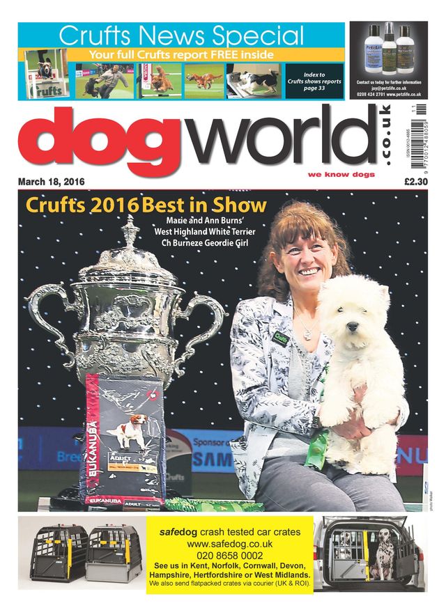 Dog World