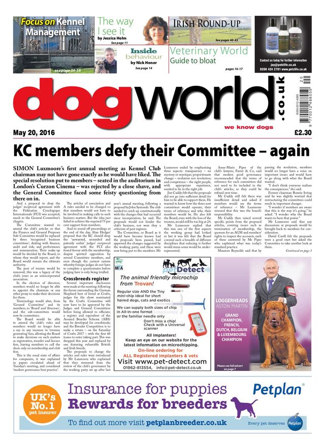 Dog World