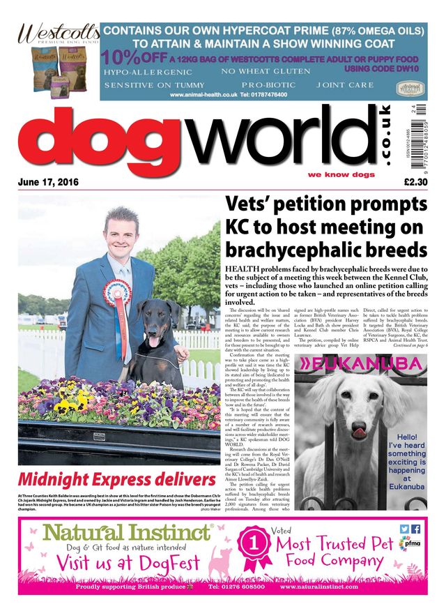 Dog World