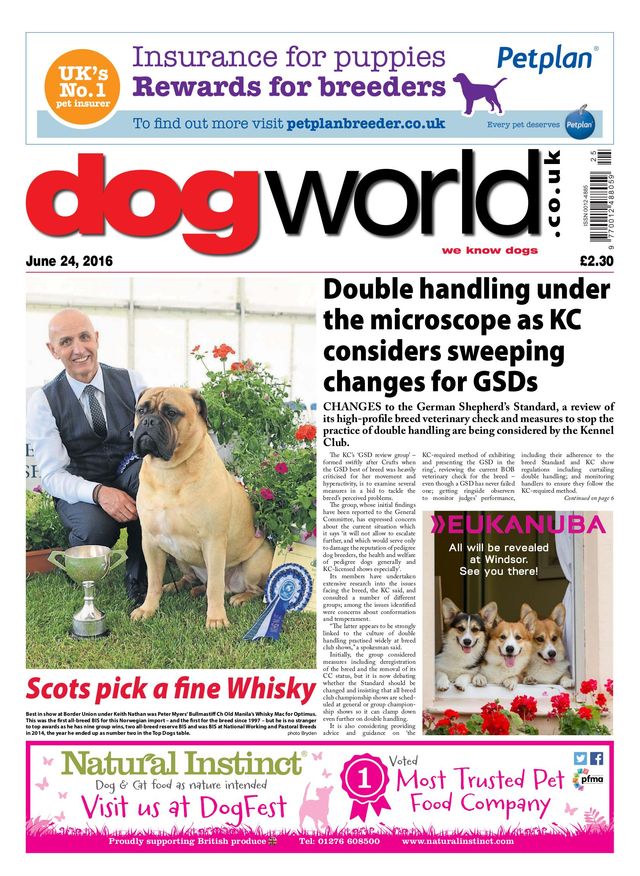 Dog World