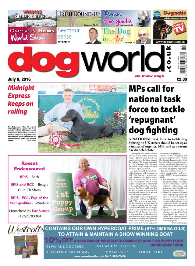 Dog World