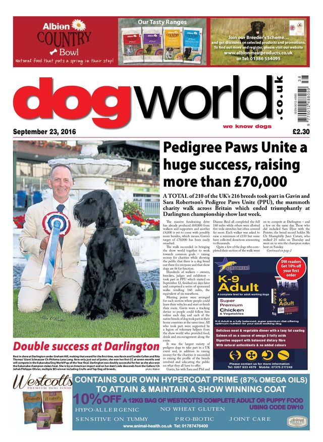 Dog World