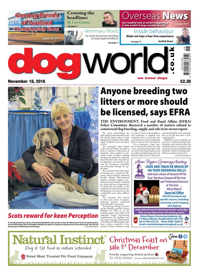 Dog World
