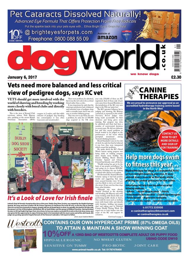Dog World
