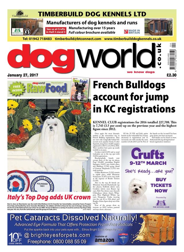 Dog World