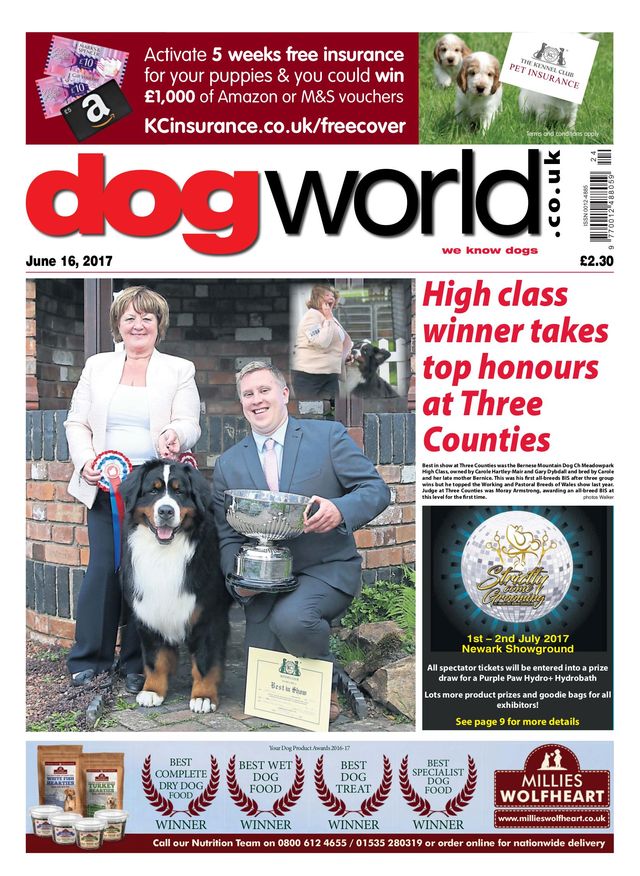 Dog World
