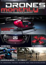 Issue 19