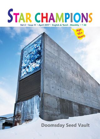 Star Champions