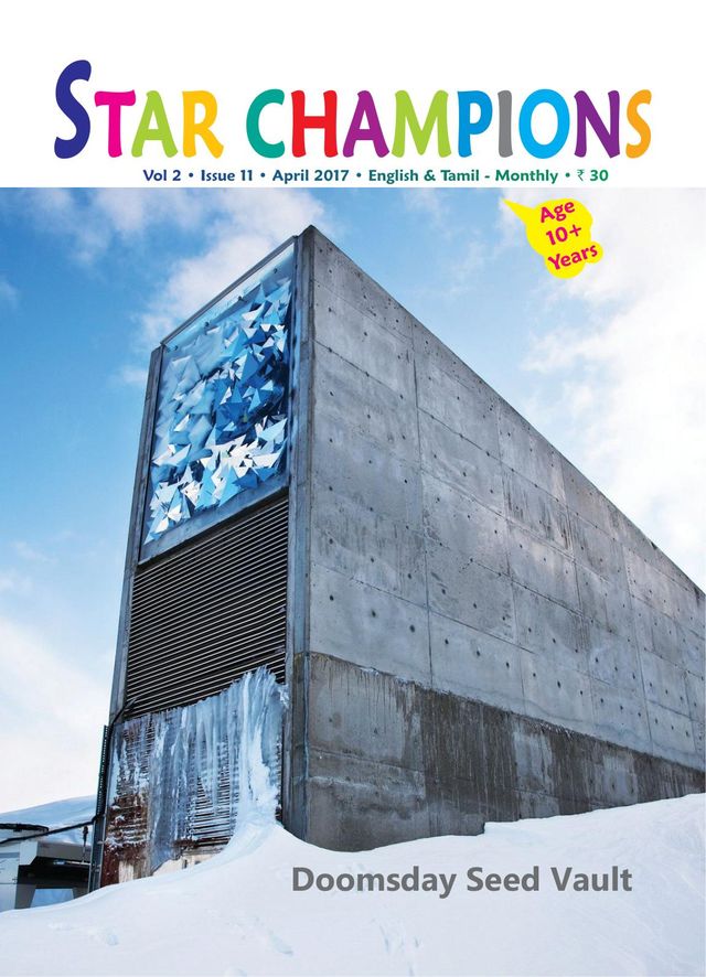 Star Champions