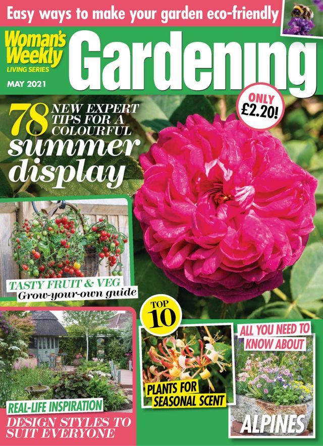 Go Unlimited with Magzter GOLD