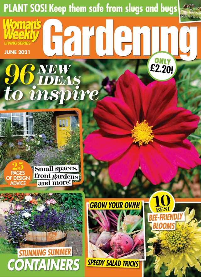 Gå ubegrenset med Magzter GOLD