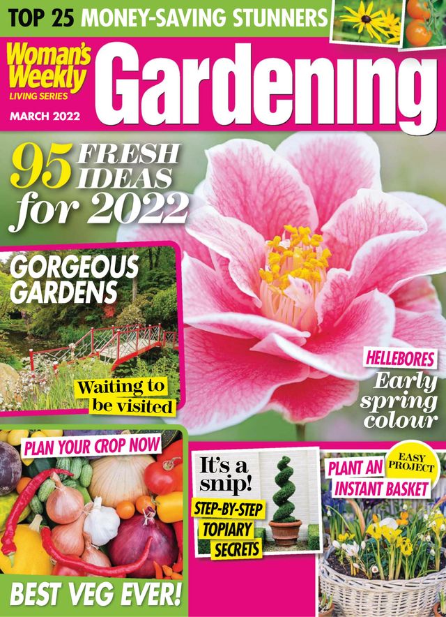 Gå ubegrenset med Magzter GOLD