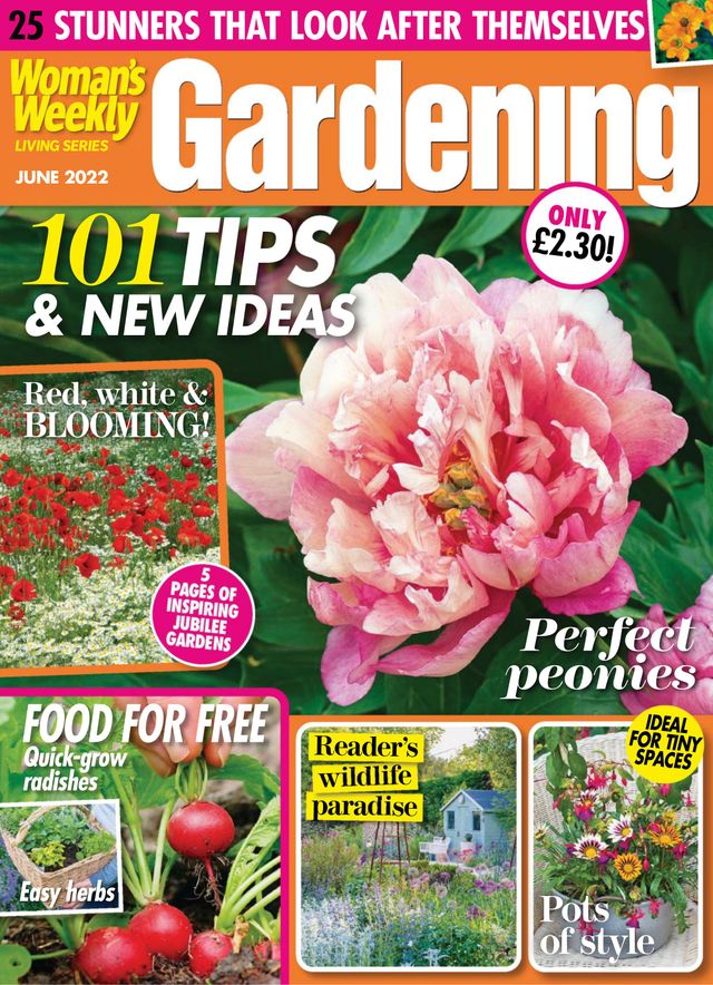 Gå ubegrenset med Magzter GOLD