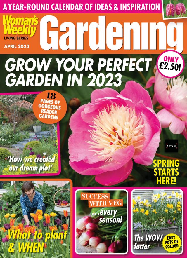 Gå ubegrenset med Magzter GOLD