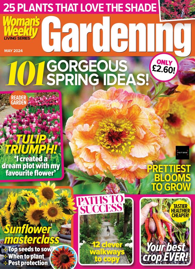 Gå ubegrenset med Magzter GOLD