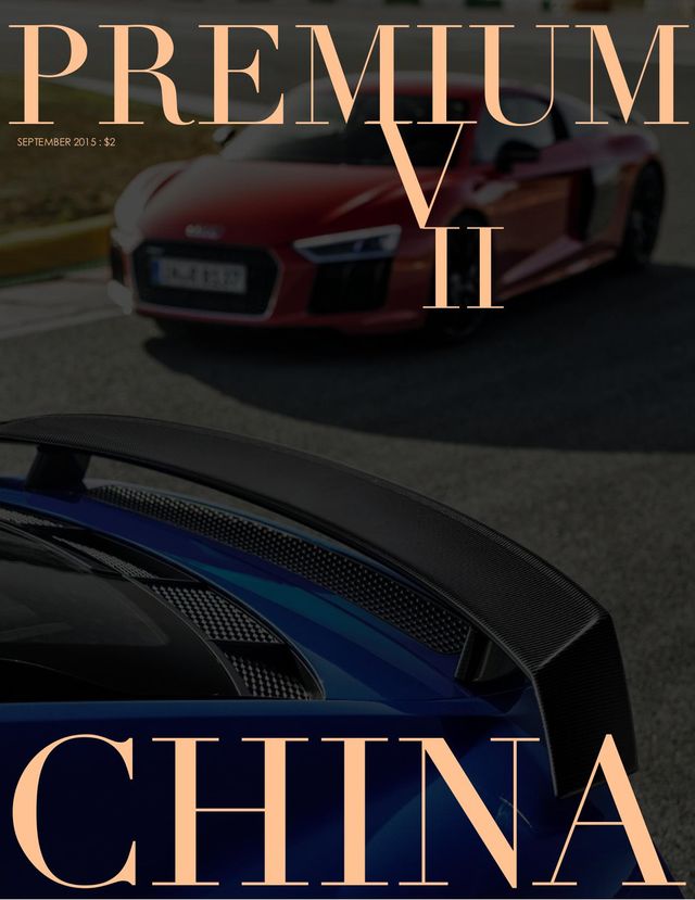 PREMIUM VII CHINA