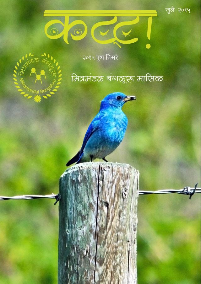 Katta