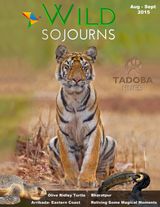 August - September 2015