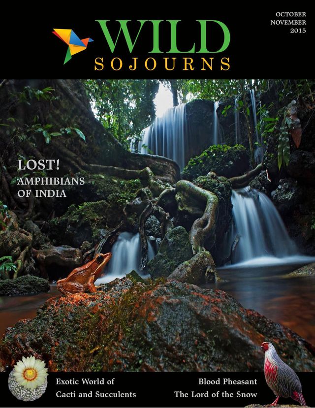 Wild Sojourns